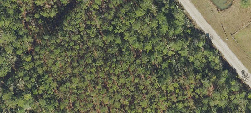 Acreage with Extensive Road Frontage