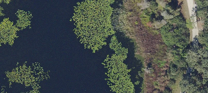 Lakefront Agricultural Homesite Land