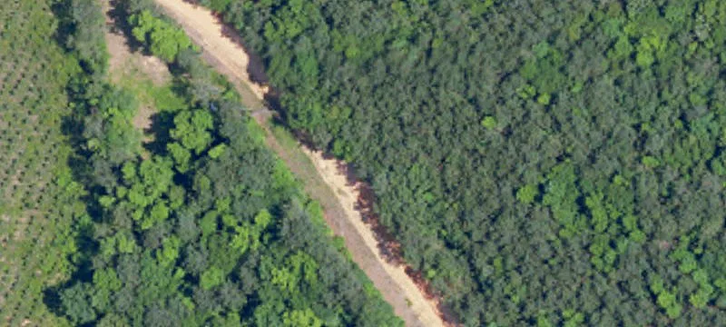 Wooded Recreational Land Tract