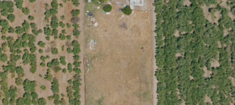 Established Vineyard Property