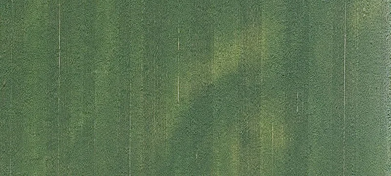 Agricultural Land in City Growth Corridor