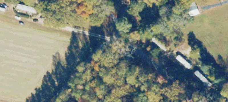 Timbered Northern Neck Farmland