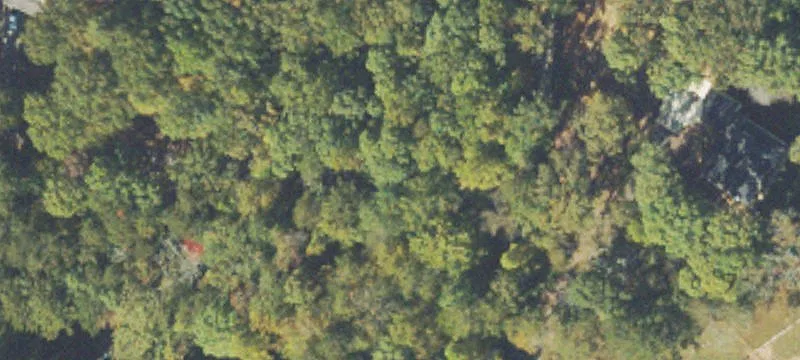 Wooded Residential Land Parcel