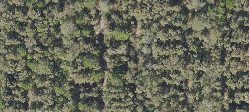 Agricultural Land Tract