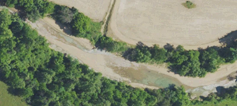 Wooded Hunting Land with Road Access