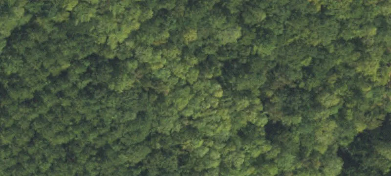 Wooded Waterfront Homesite Land