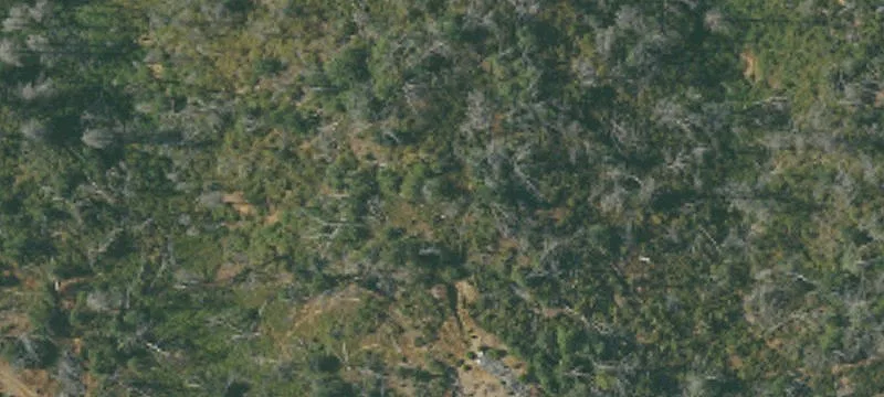 Acreage Land for Private Build