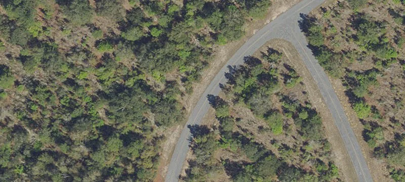 Vacant Residential Lot with Oaks