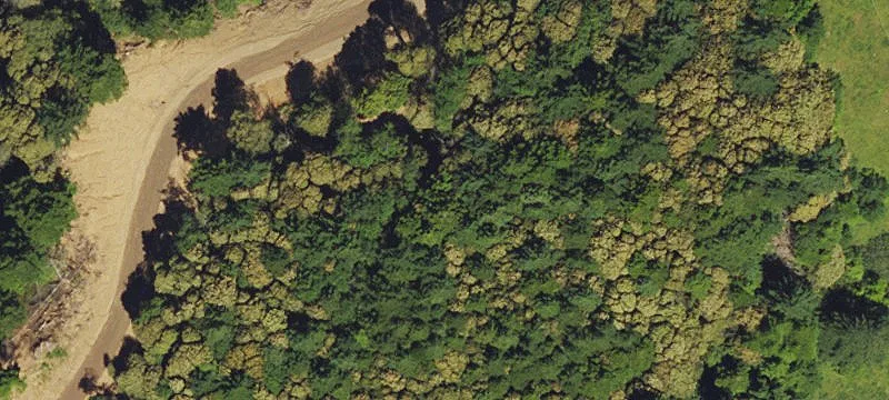 Agricultural Land for Sale
