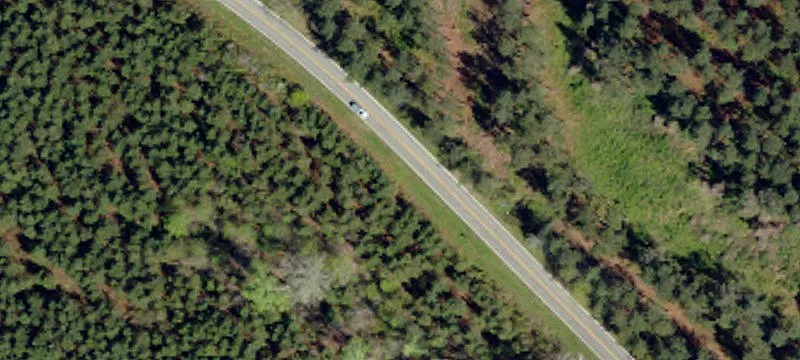Gated Pine Plantation and Creek Tract