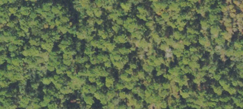 Cleared Residential Homesite Tract