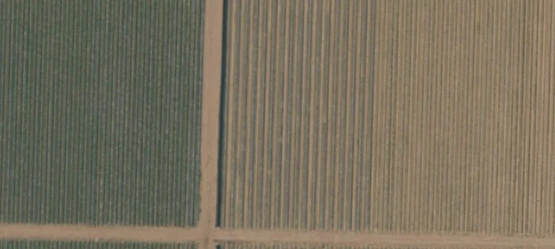 Agricultural Land for Lease