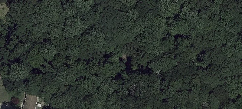 Wooded Land Tract for Sale