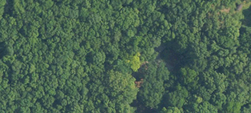 Residential Buildable Acre Lot
