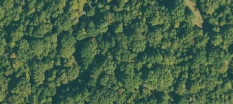 Acreage Hunting & Lifestyle Land