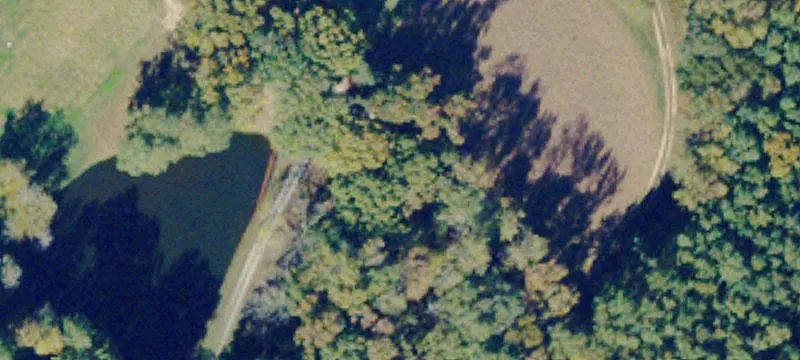 Wooded Recreational Land Parcel
