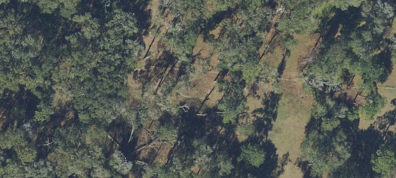 Wooded Recreation and Homesite Land