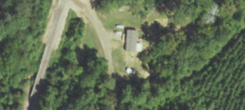 Planted Pine Hunting Tract