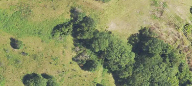 Farmland Tract with Road Access