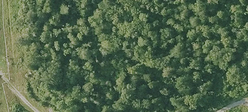 Wooded Residential Building Lot