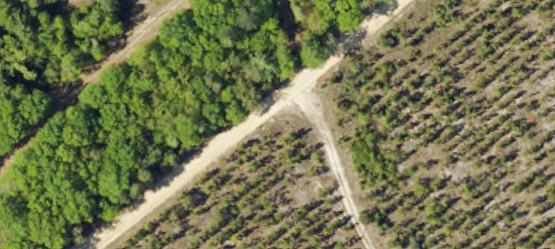 Recreational Farmland with Conservation Easement