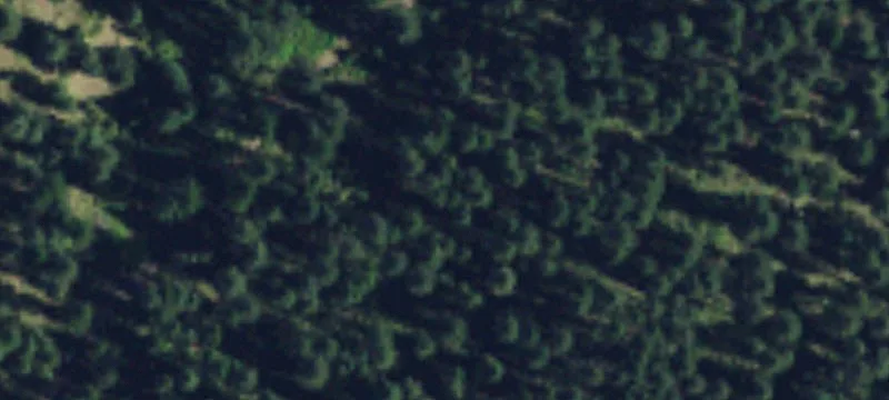 Recreational Hunting Land