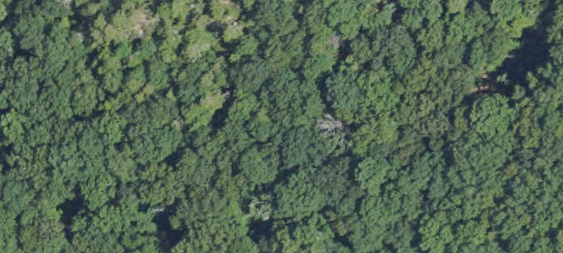 Restricted Mountaintop Homesite Land