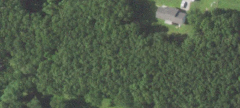 Recreational Hunting Land Tract