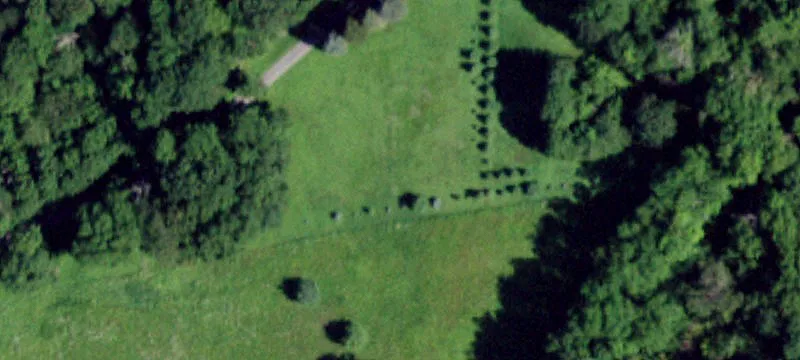 Wooded Residential Lot Parcel