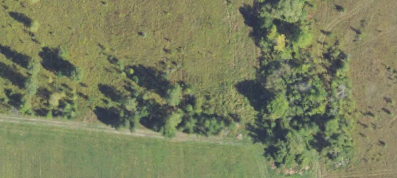 Agricultural Land with Pond