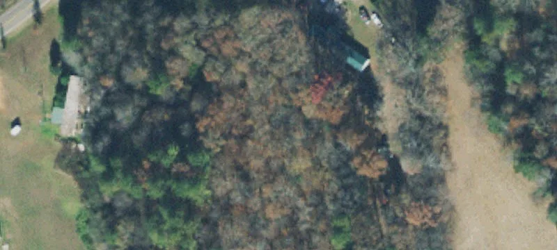 Auction Tract Land for Sale
