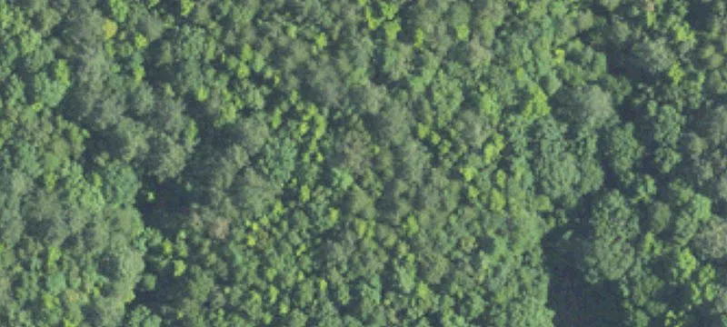 Waterfront Land Tract