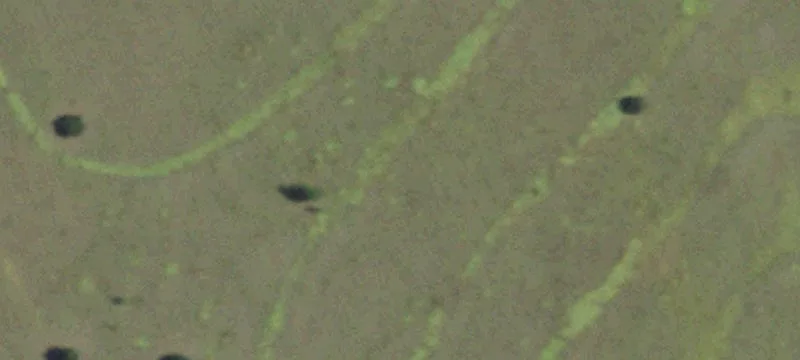 Ag-Exempt Farmland Tract