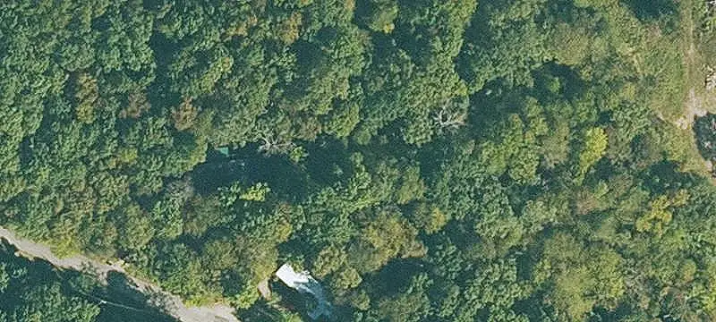 Wooded Residential Home Lot