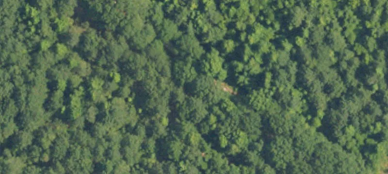 Hunting and Development Acreage