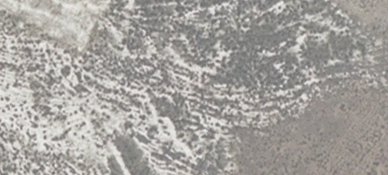 Flat Buildable Acreage Parcel