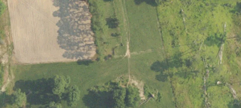 Wooded Hunting Land Tract