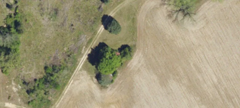 Irrigated Farmland with Center Pivot