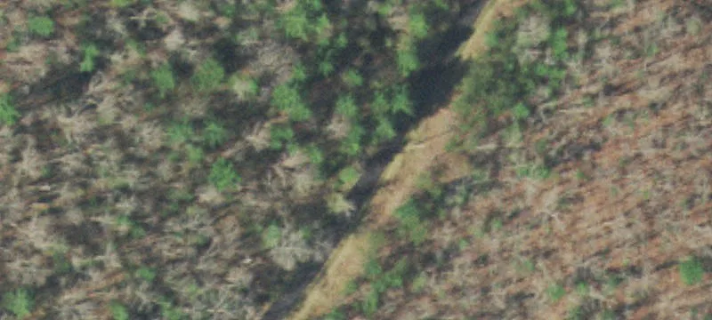 Creekside Acreage with Road Frontage