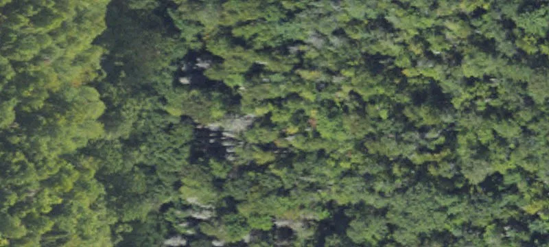Wooded Recreation Land Parcel