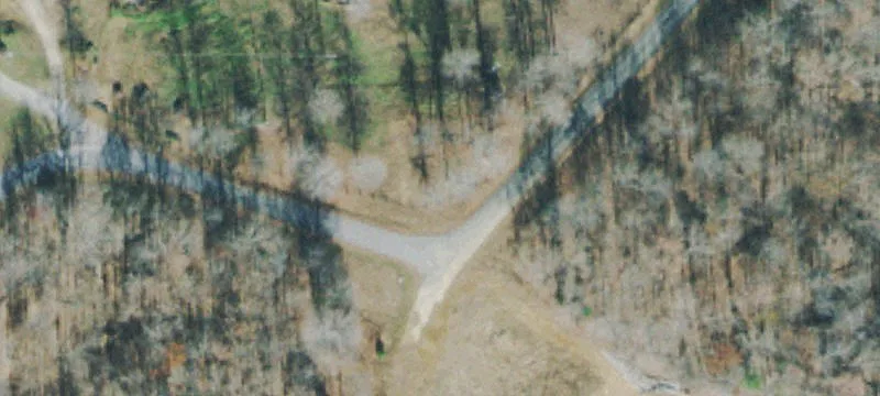 Wooded Residential Building Tract
