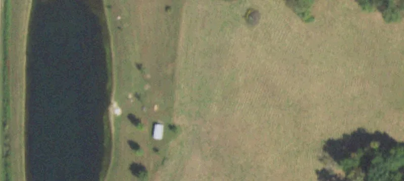 Productive Farmland with Creek Corridor