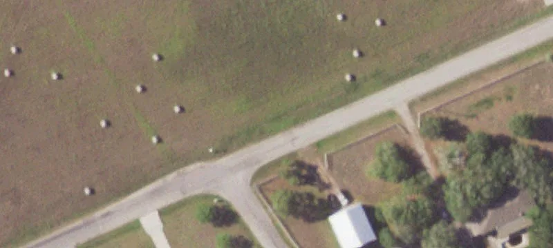 Fenced Pasture and Tree Land