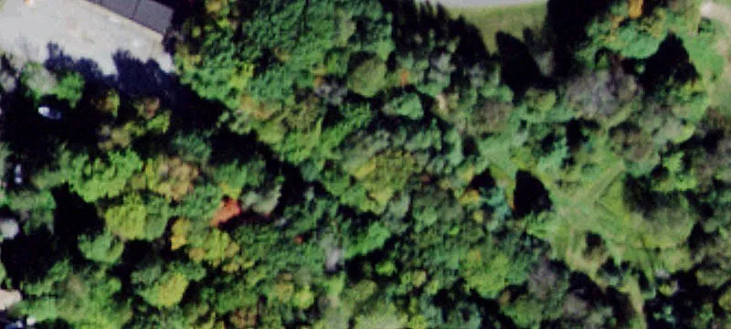 Level Building Lot with Driveway