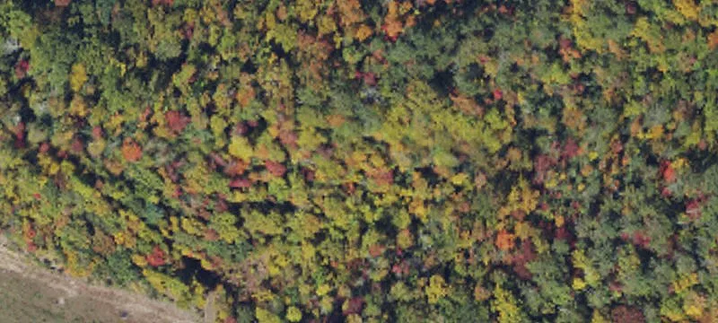 Secluded Mountain Hunting Land