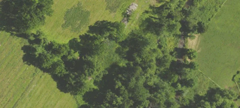 Agricultural Land with Horse Facilities