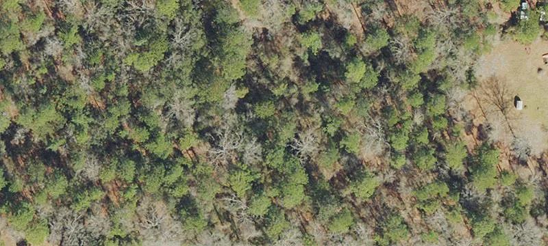 Wooded Residential RV Land