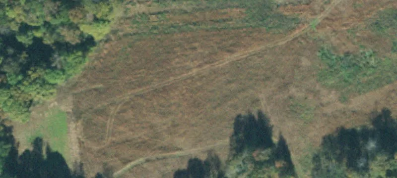 Wooded Residential Lot