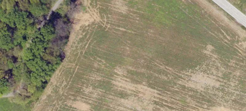 Wooded Rural Residential Land Parcel