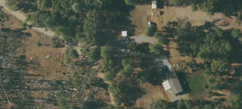 Timber Growing Farmland Tract